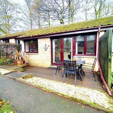 Woodland View - Families & Pets Vila Uny Lelant Exterior foto