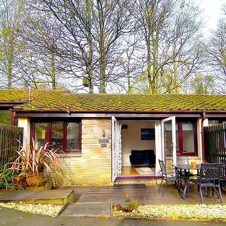 Woodland View - Families & Pets Vila Uny Lelant Exterior foto